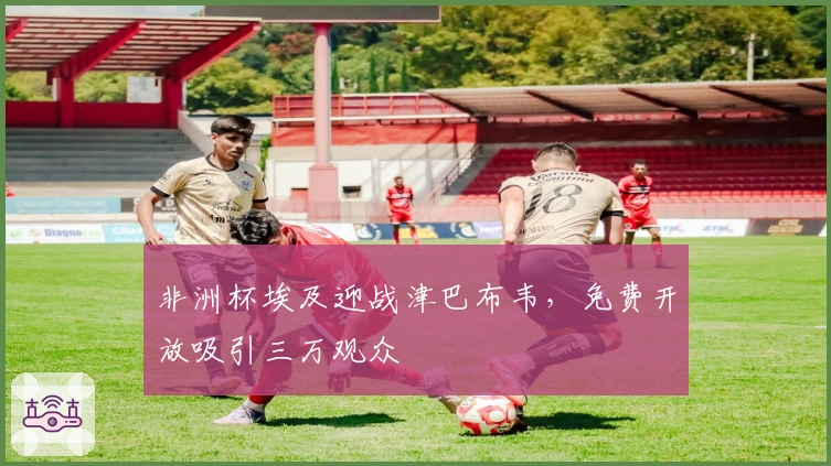 非洲杯埃及迎战津巴布韦，免费开放吸引三万观众