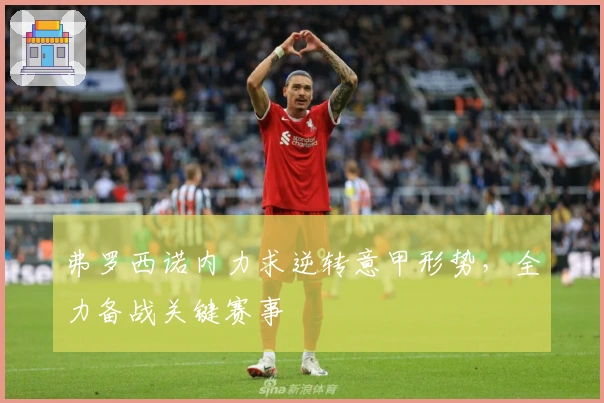 弗罗西诺内力求逆转意甲形势,全力备战关键赛事